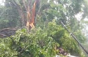 Angin Kencang, Pohon Timpa Mobil dan Robohkan Tiang Listrik di Kota Muara Enim