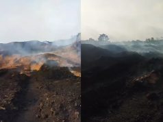 Sriwijaya Tansri Energi Diduga Cemari Lingkungan Parah di PALI, DPRD Desak Tindak Tegas!