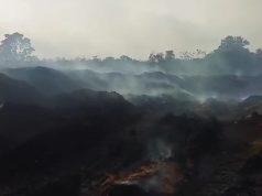 Sriwijaya Tansri Energi Diduga Cemari Lingkungan di PALI, Pemuda Hijau Sumsel Bakal Gelar Aksi di DPRD Sumsel