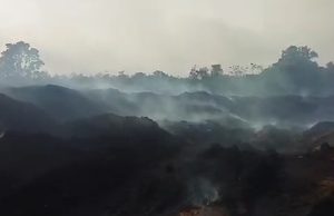 Sriwijaya Tansri Energi Diduga Cemari Lingkungan di PALI, Pemuda Hijau Sumsel Bakal Gelar Aksi di DPRD Sumsel