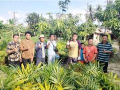 Bantu Perekonomian Para Petani, Wali Kota Prabumulih Berikan Bantuan Bibit Sawit