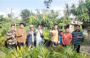 Bantu Perekonomian Para Petani, Wali Kota Prabumulih Berikan Bantuan Bibit Sawit