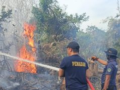 Damkar PALI Cepat Tanggap Padamkan Kebakaran Lahan Diberacung