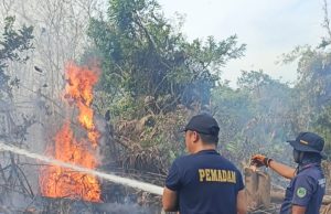 Damkar PALI Cepat Tanggap Padamkan Kebakaran Lahan Diberacung