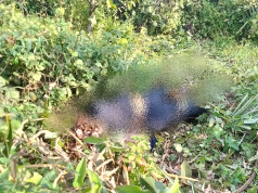 Sesosok Mayat Wanita Di Temukan Telah Membusuk Di Desa Gaung Asam