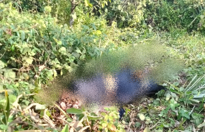 Sesosok Mayat Wanita Di Temukan Telah Membusuk Di Desa Gaung Asam