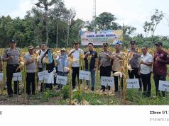 Pemerintah Desa Gunung Menang Panen Jagung Bersama Jajaran Polsek Penukal