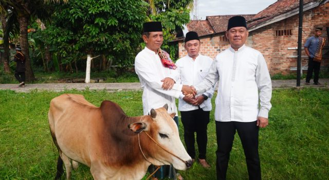 Kadiskominfo Prabumulih Wakili Wali Kota Serahkan Hewan Kurban di Masjid Babun Ni’mah Wonosari
